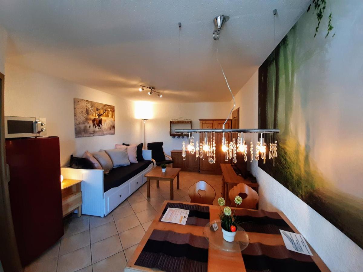 Residenz Schauinsland, Ganzes Appartement, Sauna Todtnau Εξωτερικό φωτογραφία