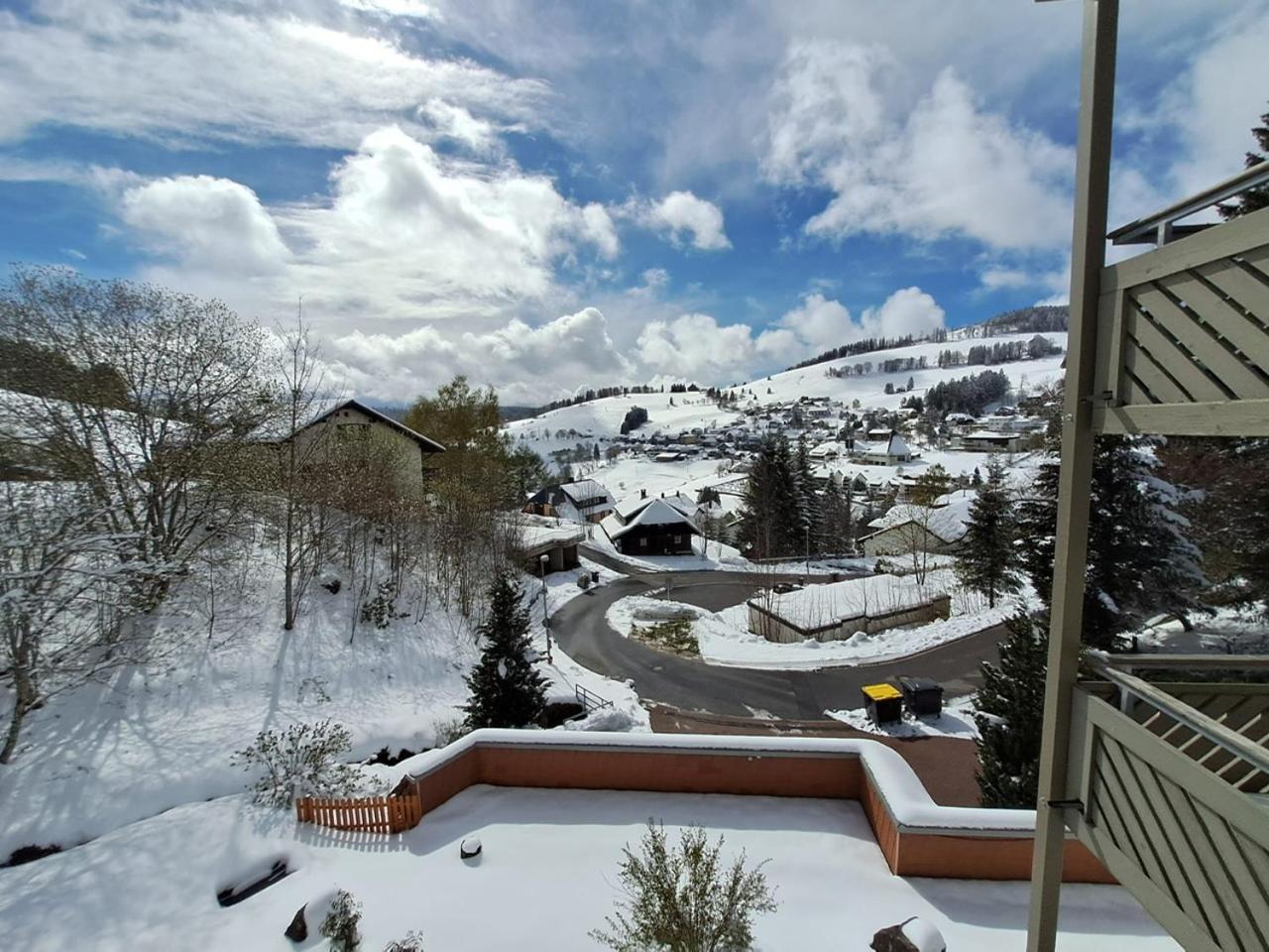 Residenz Schauinsland, Ganzes Appartement, Sauna Todtnau Εξωτερικό φωτογραφία