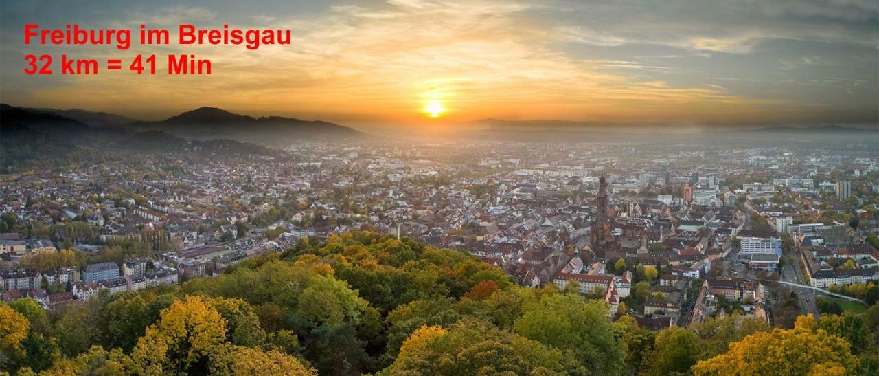 Residenz Schauinsland, Ganzes Appartement, Sauna Todtnau Εξωτερικό φωτογραφία